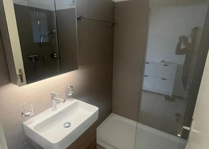 Casa Rena By Interhome Apartment Ascona